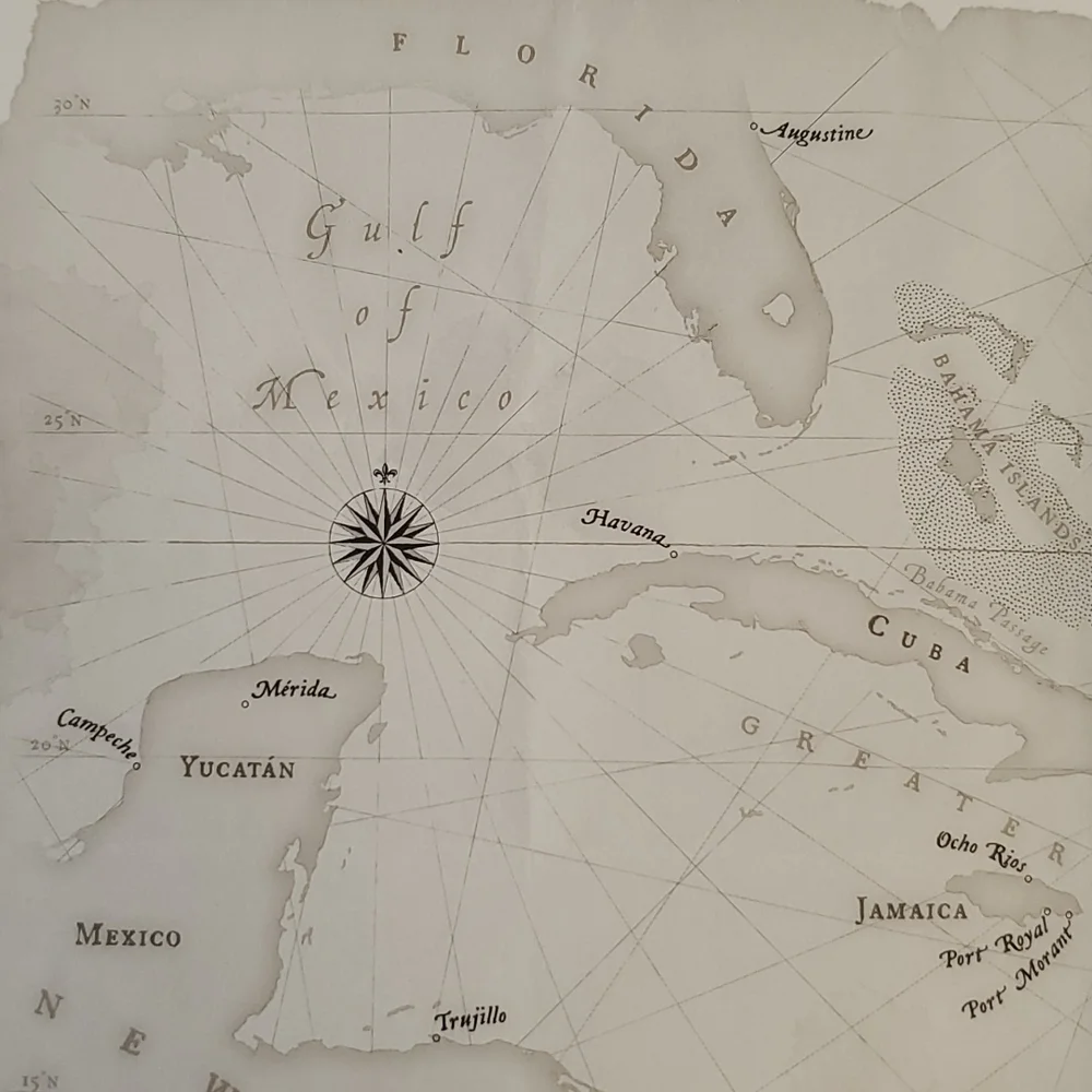 Michael Crichton Pirate Latitudes' 2009 Hardcover Best Srlling Book - Picture 8 of 11